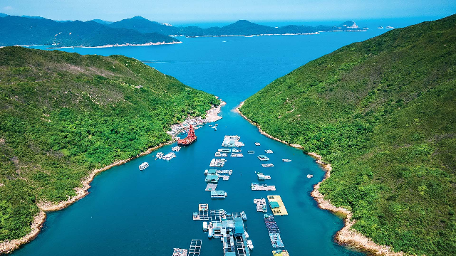 Objek Wisata Bawah Laut Terindah di Hongkong